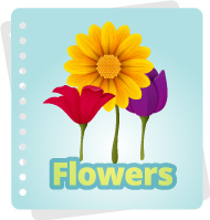 60+ từ thông dụng về chủ đề Các loài hoa