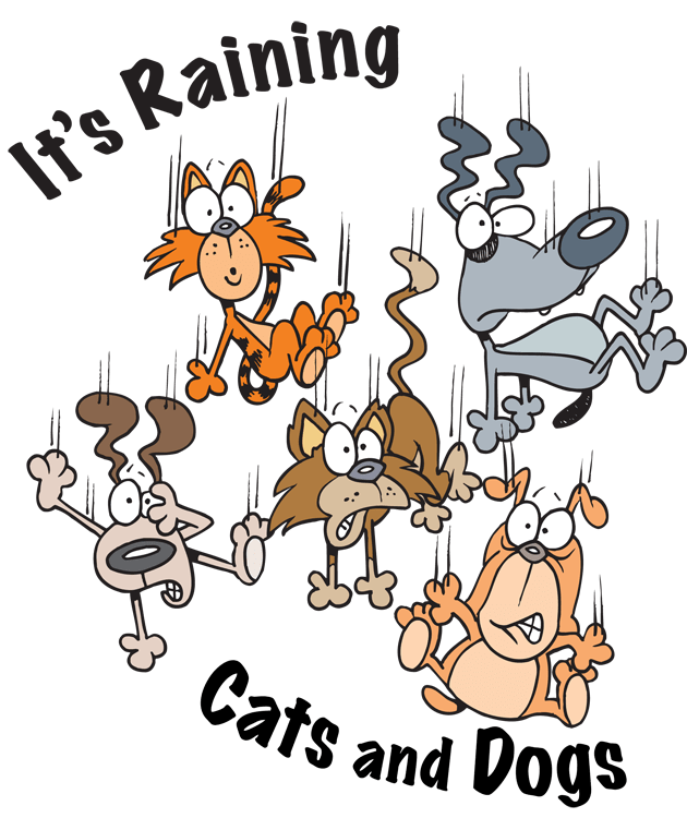 It's raining cats and dogs