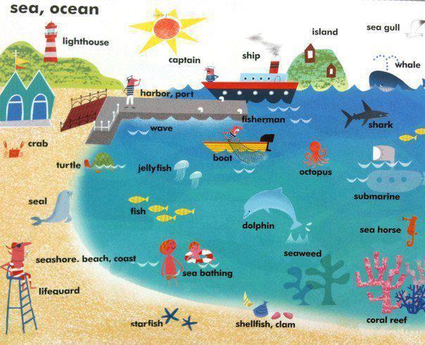 Từ vựng tiếng Anh về chủ đề biển